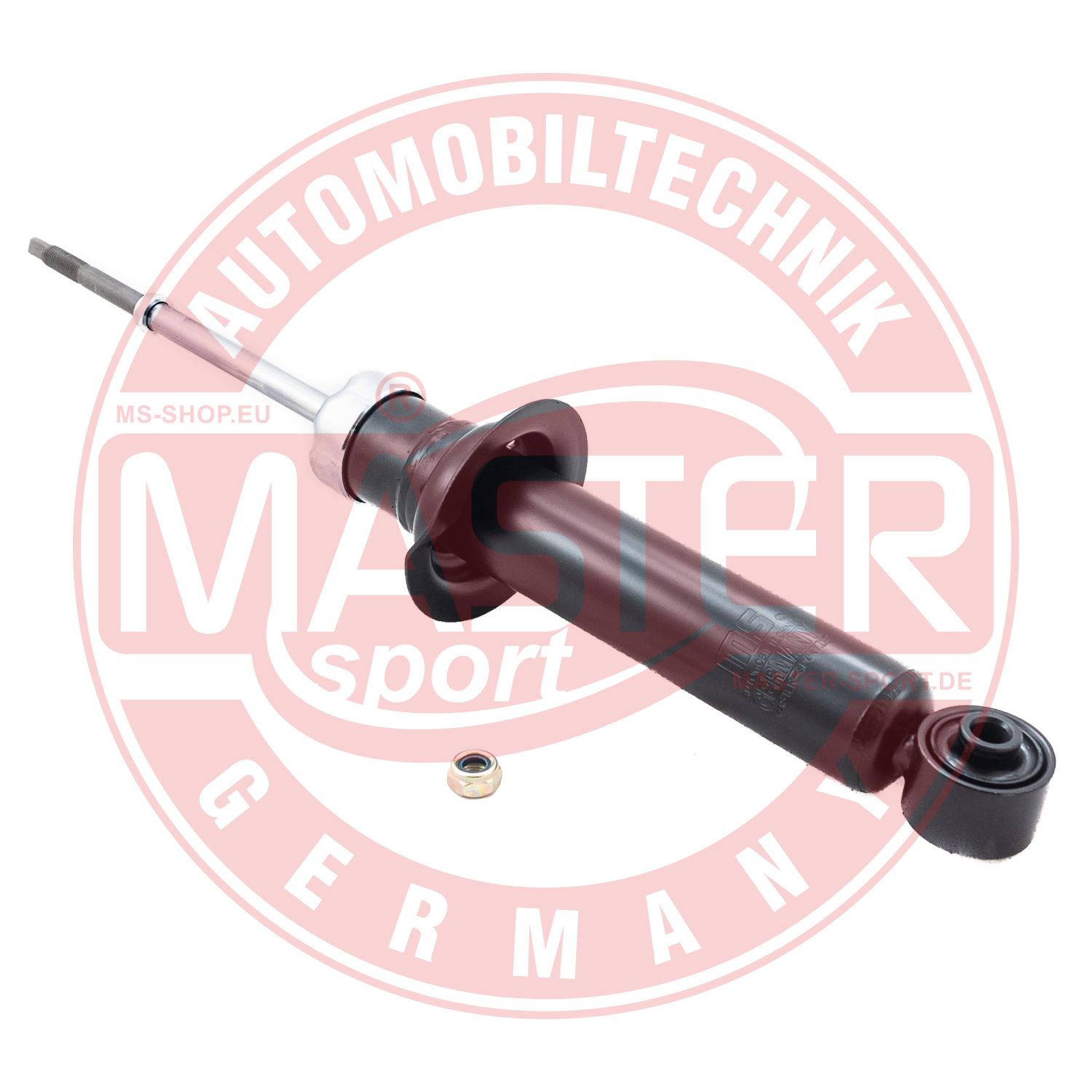 313607-PCS-MS