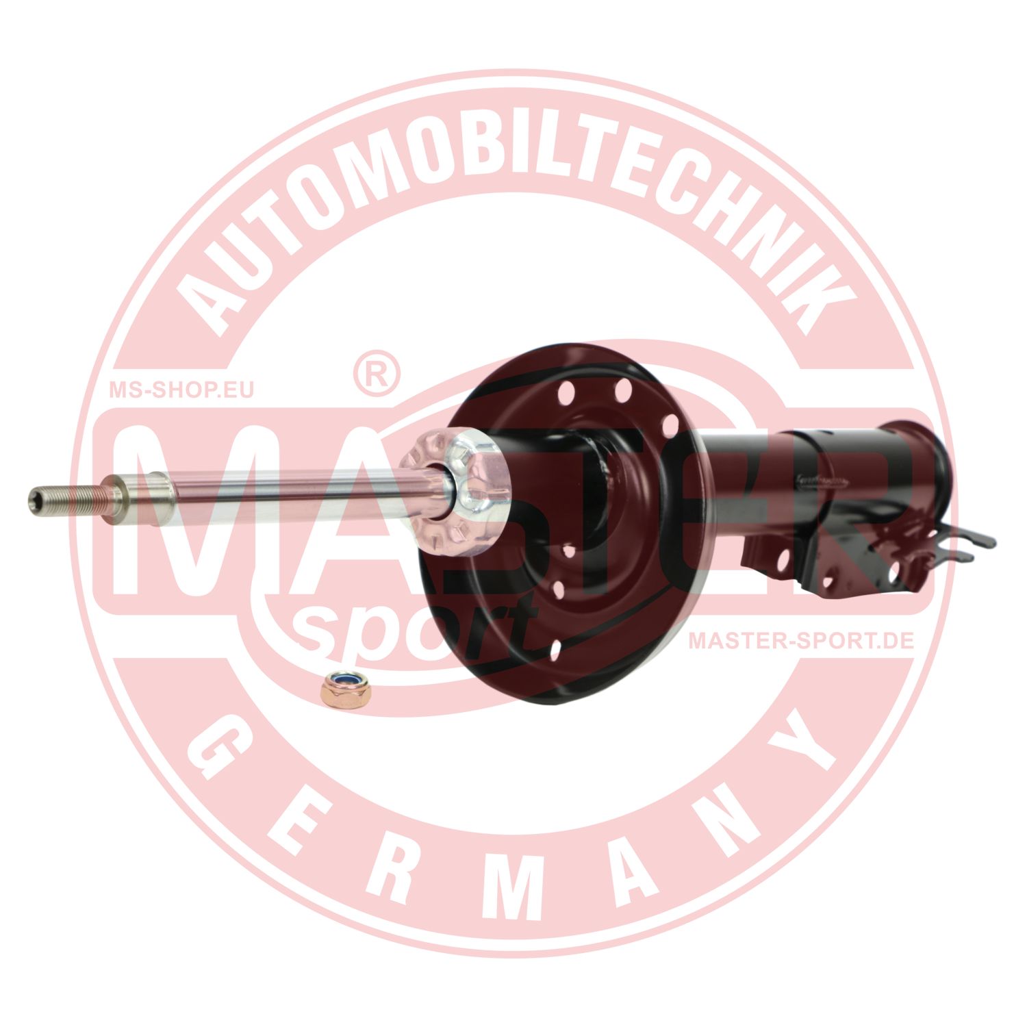 312320-PCS-MS