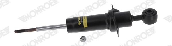 D8069S