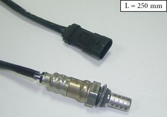 SLS-13299