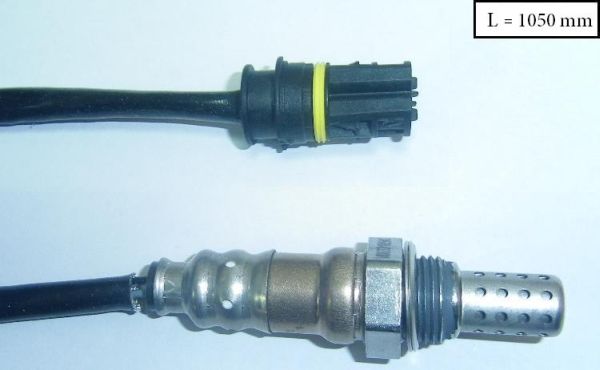 SLS-13306