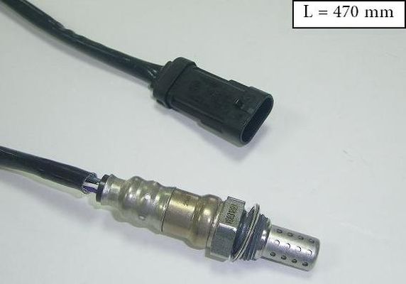 SLS-13186
