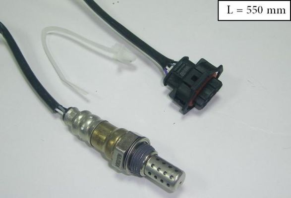 SLS-13217