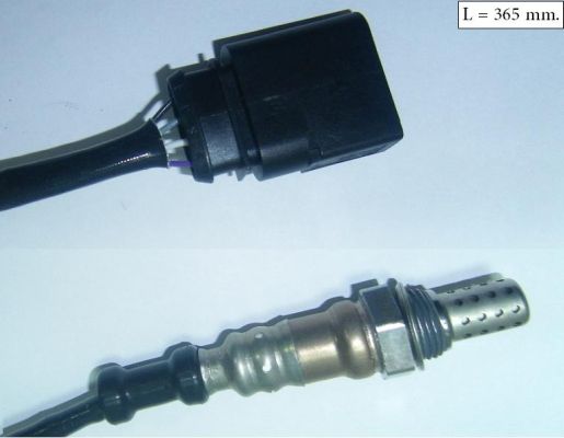SLS-13319