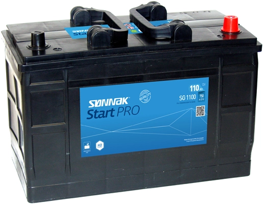 SG1100