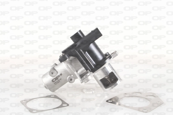 EGR3022.00