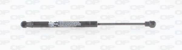 GSR6010.00
