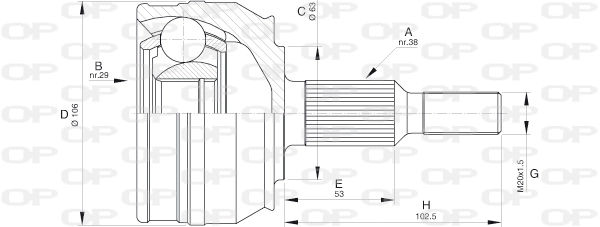 CVJ5579.10