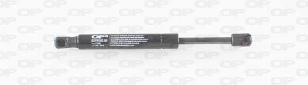 GSR6005.00