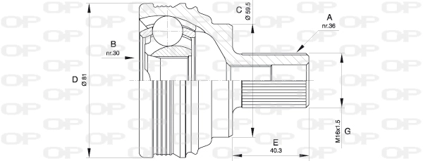 CVJ5538.10