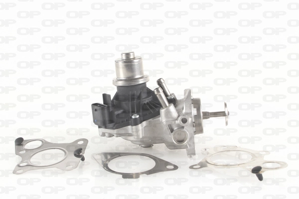 EGR3009.00