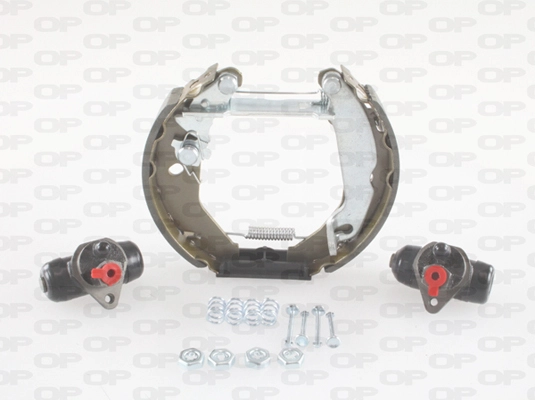 BSK2101.00