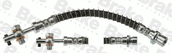BH775979