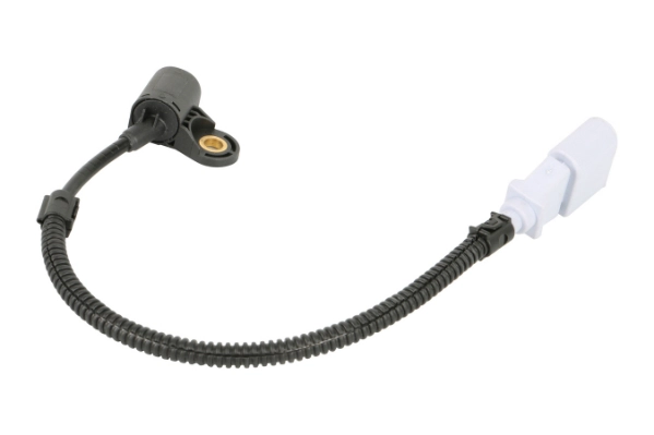 1CS523