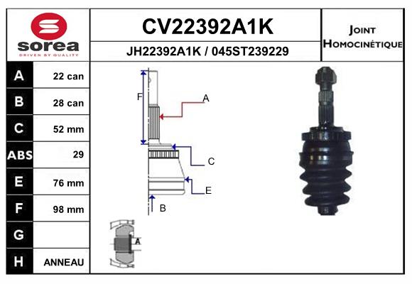 CV22392A1K