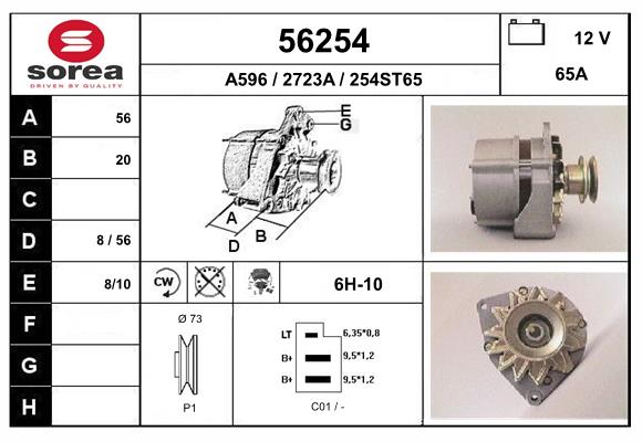 56254