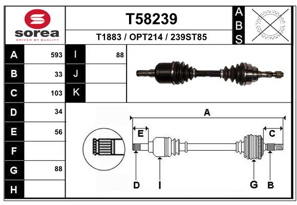 T58239