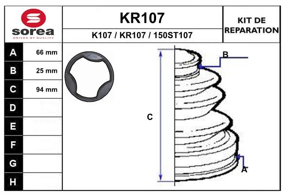 KR107