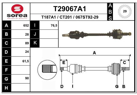 T29067A1