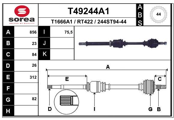 T49244A1