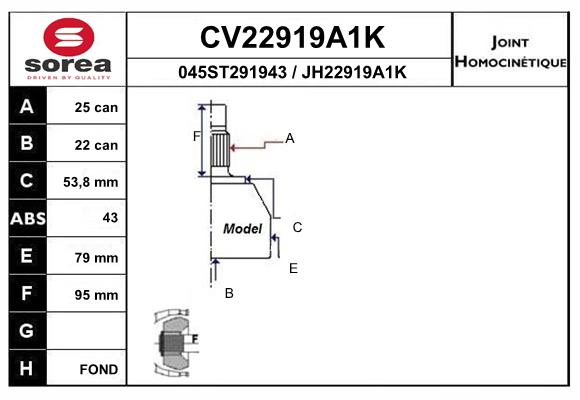CV22919A1K
