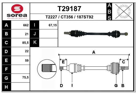 T29187