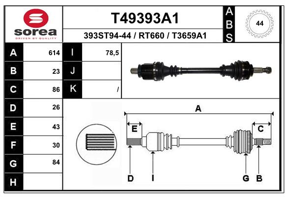 T49393A1