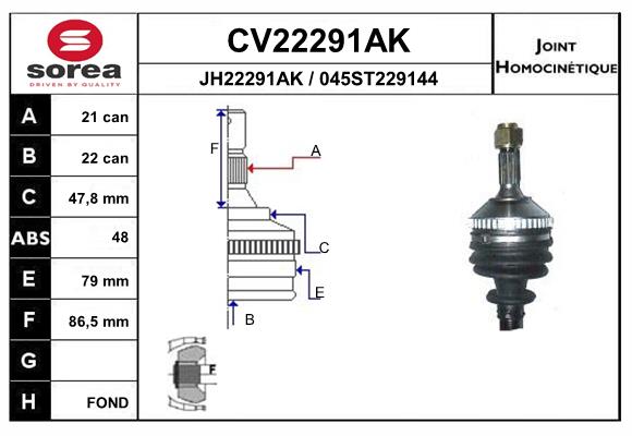 CV22291AK