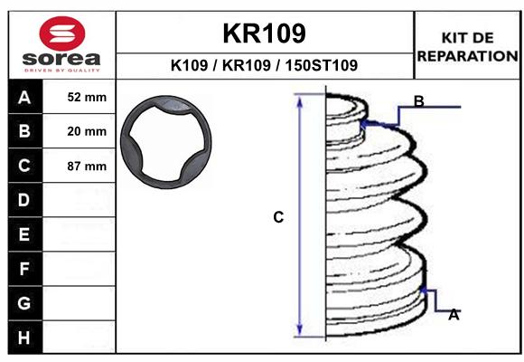 KR109