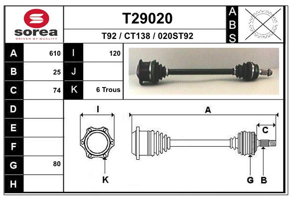 T29020