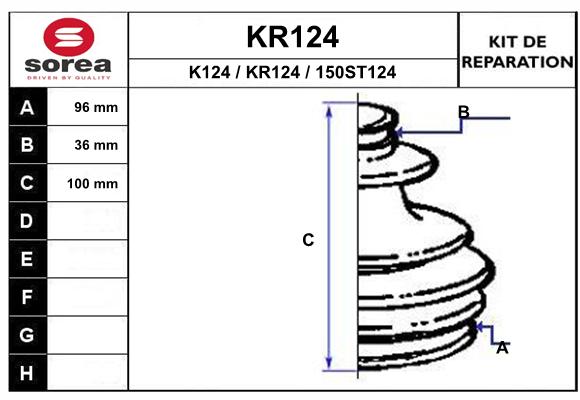 KR124