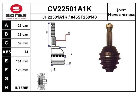 CV22501A1K