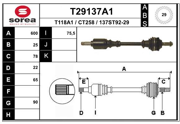 T29137A1