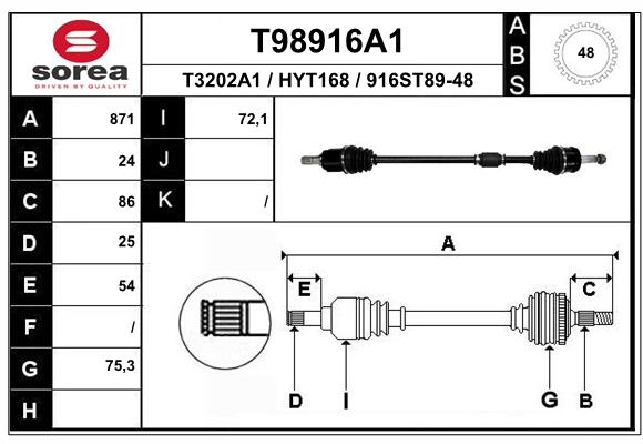 T98916A1