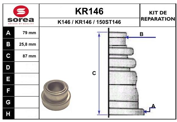 KR146