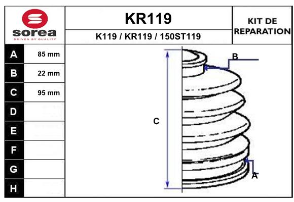 KR119