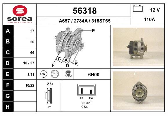 56318