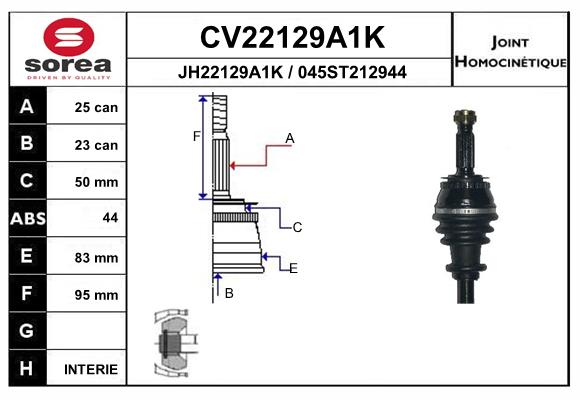 CV22129A1K