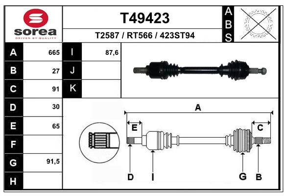 T49423