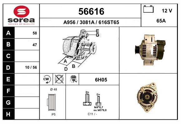 56616