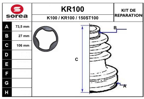 KR100