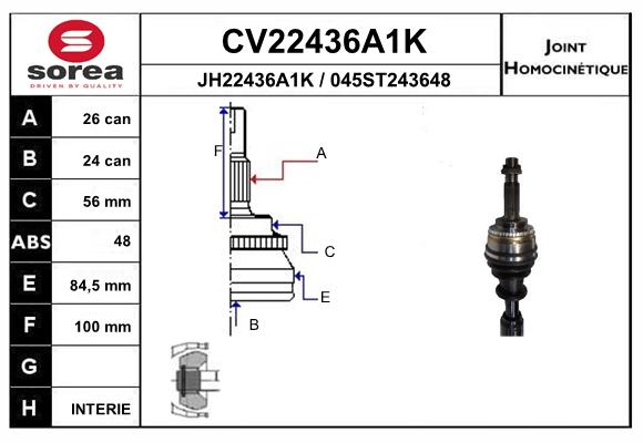 CV22436A1K