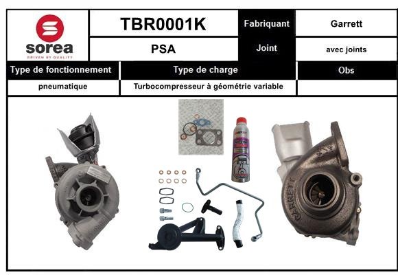 TBR0001K