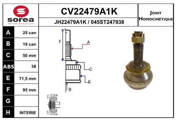 CV22479A1K