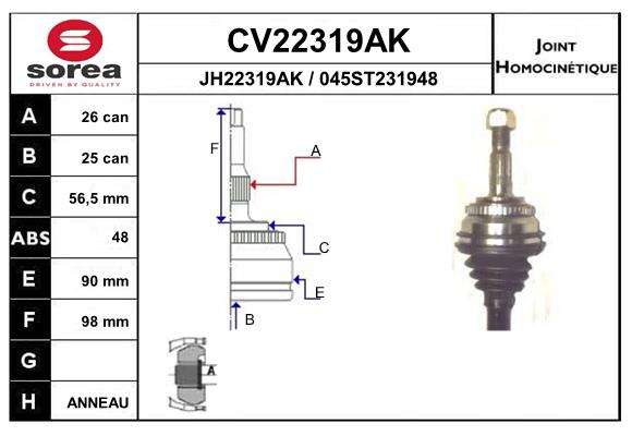 CV22319AK