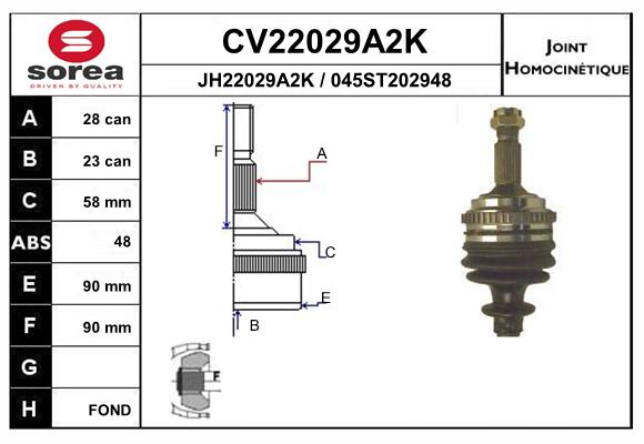 CV22029A2K