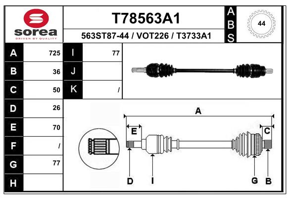 T78563A1