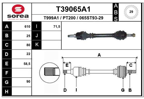 T39065A1