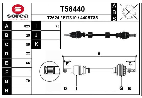 T58440