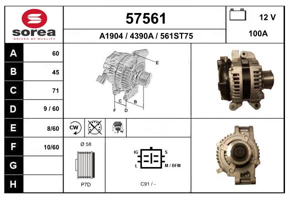 57561